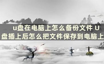 u盘在电脑上怎么备份文件 U盘插上后怎么把文件保存到电脑上